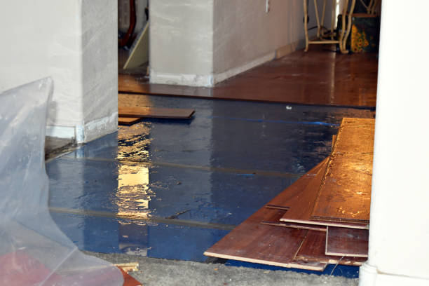 Professional Sewage Cleanup technician working in Wainscott, NY